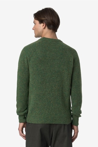 Pull en laine Renoult - Vert