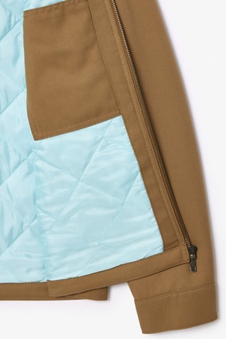 Veste - Camel