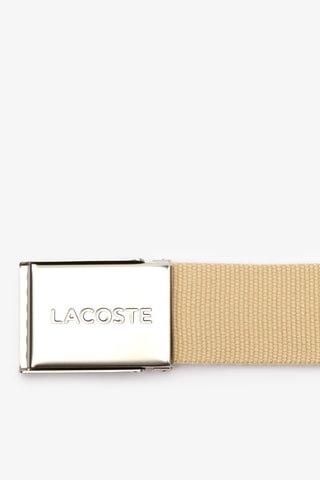 Ceinture - Marron