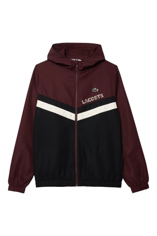 Veste et pantalon de survêtement de tennis regular fit - Bordeaux
