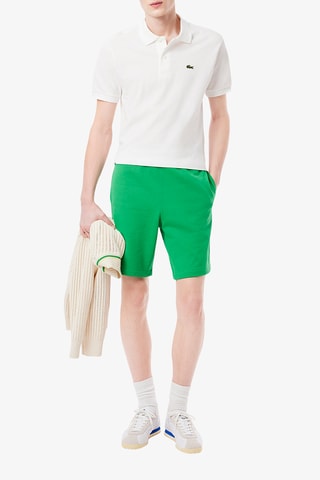 Short regular fit - Vert