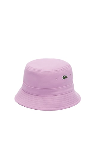 Bob - Rose
