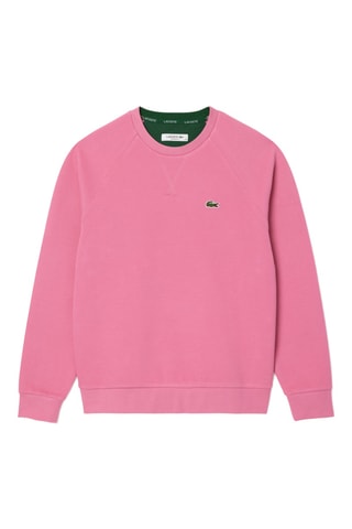Sweat - Rose