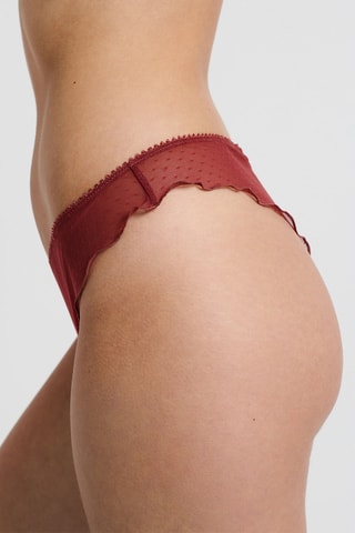 Tanga Fleck - Steenrood