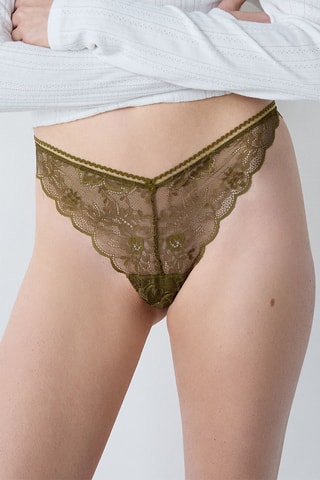 Tanga Exclusive - Bruin