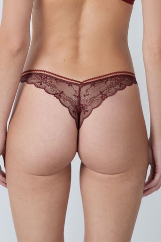 Tanga Exclusive - Bruin