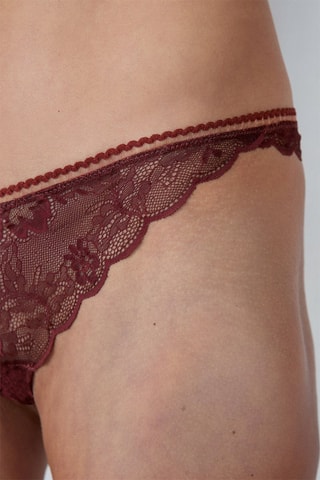 Tanga Exclusive - Bruin