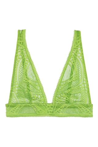 Beha Liveshow - Zeegroen