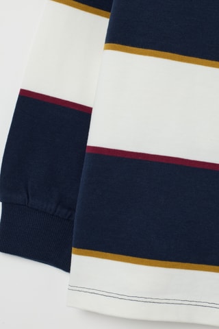 Polo - Multicor