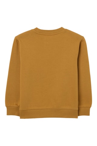 Sweat - Camel