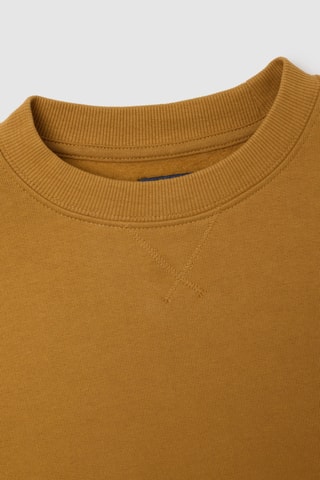 Sweat - Camel