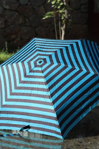 Parapluie pliable - Vert - Vert