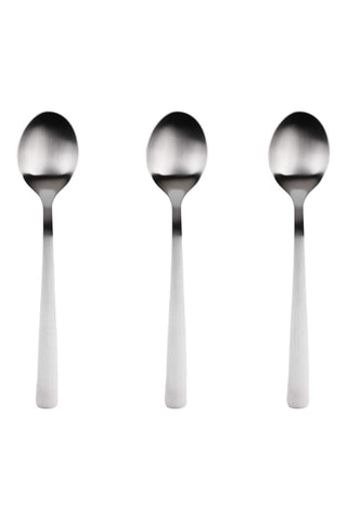 3 lepels van roestvrij staal