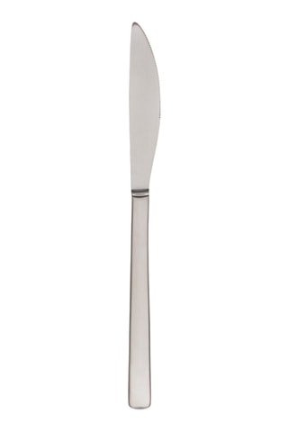 2 Roestvrijstalen Tafelmessen Nice - 25,5 cm