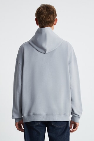 Sudadera con capucha regular fit - Gris claro
