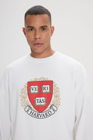 Sudadera oversize - Crudo