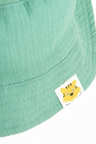 Bob - Vert