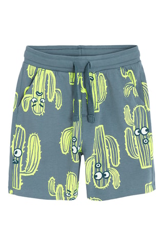 2 shorts - Noir et bleu-gris