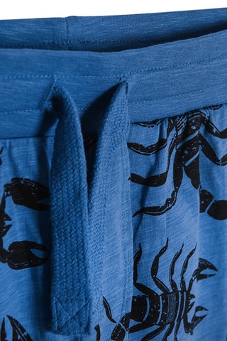 Bermuda Bleu marine et noir