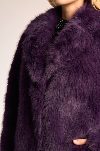 Manteau - Violet