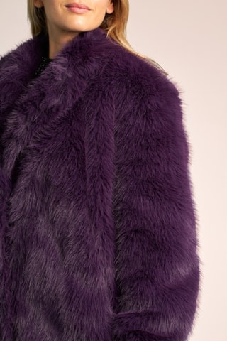 Manteau - Violet