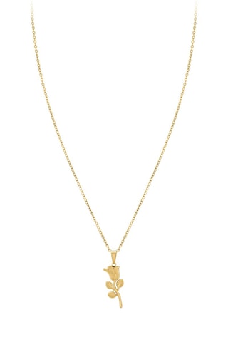 Collier - Doré