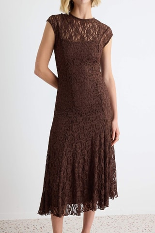 Vestido recto de encaje - Marrón