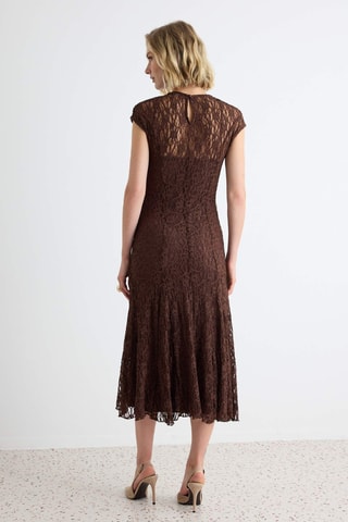 Vestido recto de encaje - Marrón