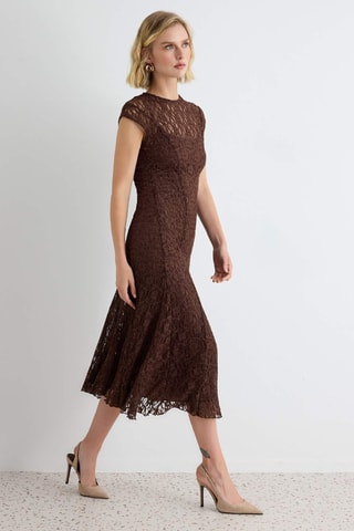 Vestido recto de encaje - Marrón