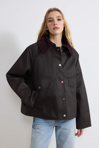 Blouson regular - Marron