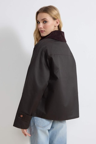 Blouson regular - Marron