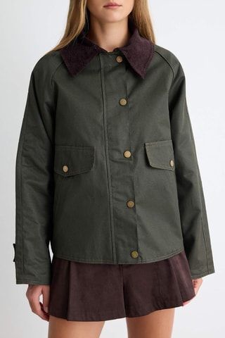 Cazadora regular fit - Caqui