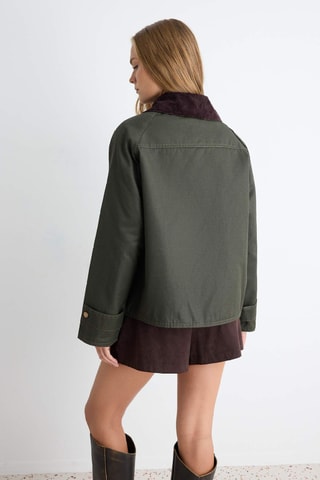 Cazadora regular fit - Caqui