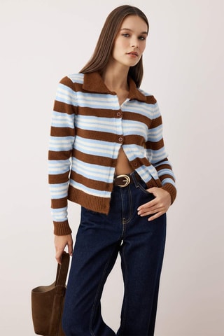 Gilet regular - Blanc, bleu et marron