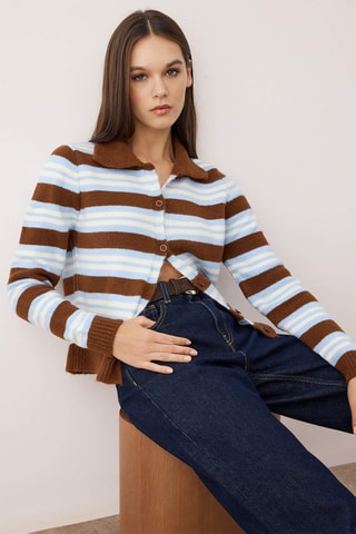 Gilet regular - Blanc, bleu et marron