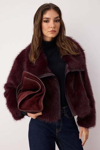 Chaqueta