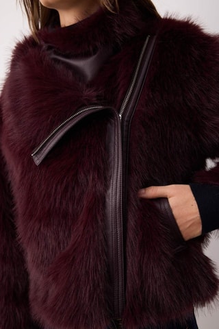 Chaqueta