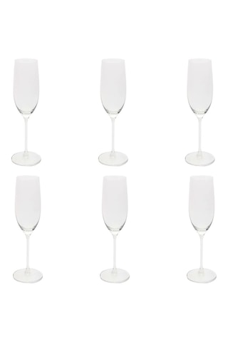 6 Fluitglazen Bardolino - 21 cl