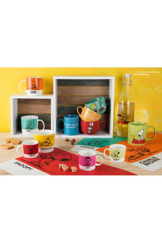 Fles Snoopy 1 l