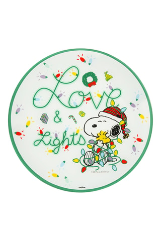 Groot Bord Snoopy - 30 x 30 x 2 cm