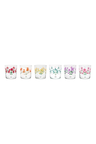6 glazen Arles - 35 cl