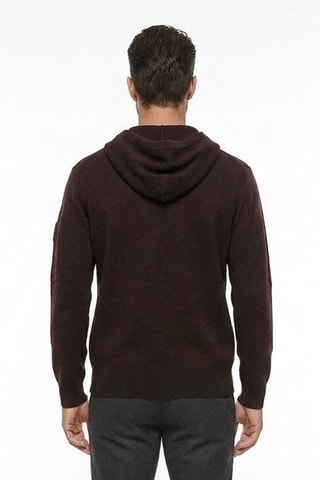 Jersey de lana con capucha - Burdeos