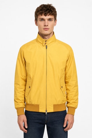 Jack - Geel
