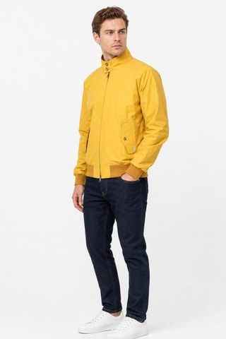 Jack - Geel