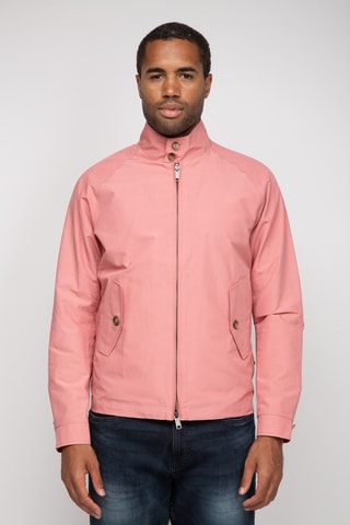 Jack - Roze
