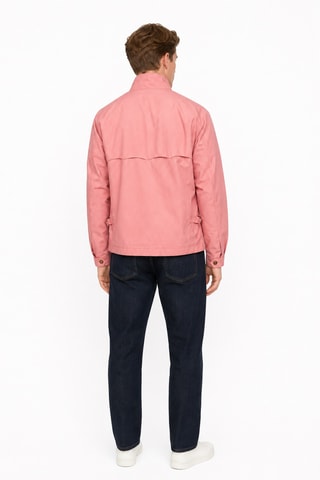 Jack - Roze