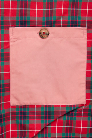 Jack - Roze
