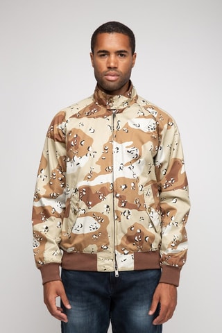 Jack - Beige