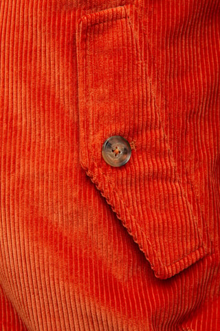 Jack - Oranje