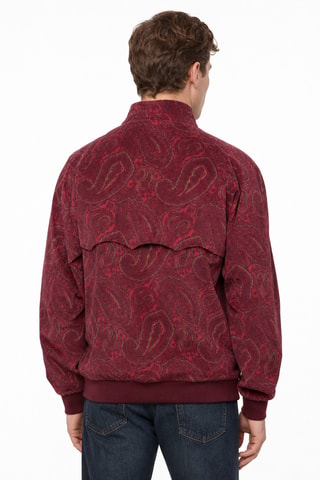 Jack - Bordeauxrood